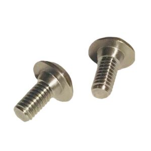 Two Cleat Screws isolated on a white background.