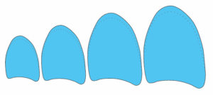 Four irregular, rounded blue shapes are arranged in a row, increasing in size from left to right against a white background.